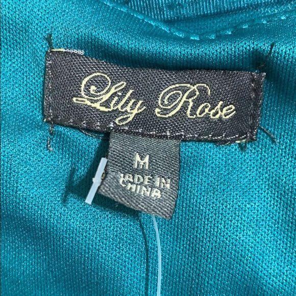 Lily Rose Womens Dress Lightweight Shadow Striped Belted Turquoise Teal Medium - Picture 7 of 9